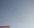 elgava_70let_35_