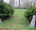 Ausekli (3)