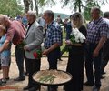 Tushti_184